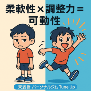 柔軟性×調整力=可動性