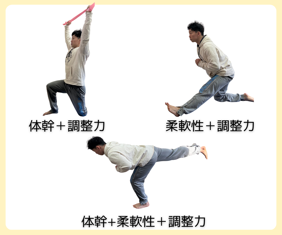 レッスンで得られる効果｜柔軟性・姿勢・身体能力アップ