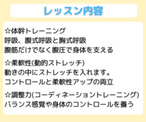 レッスンで得られる効果｜柔軟性・姿勢・身体能力アップ