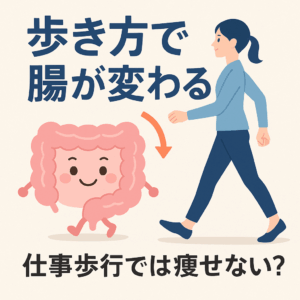 腸と歩き方の関係を示すイラスト