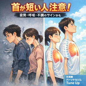 首が短く見える姿勢と首が長く見える正しい姿勢を比較したイラスト|天満橋パーソナルジムTune Up