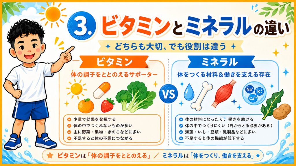 ビタミンとミネラルの違いを中元キャラが比較図で解説する横長バナー画像