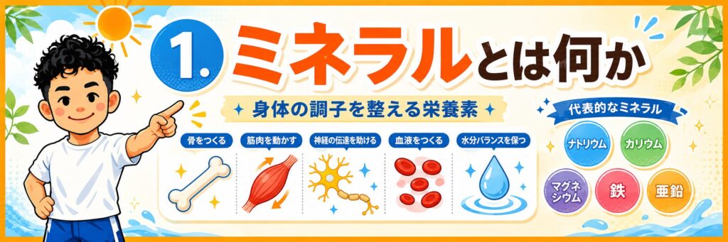 ミネラルが骨・筋肉・神経・血液・水分バランスを支える栄養素であることを中元キャラが解説する横長バナー画像