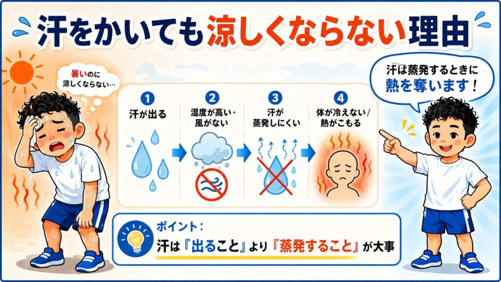 汗が蒸発しにくいと身体の熱が逃げず涼しくならない理由を解説するバナー
