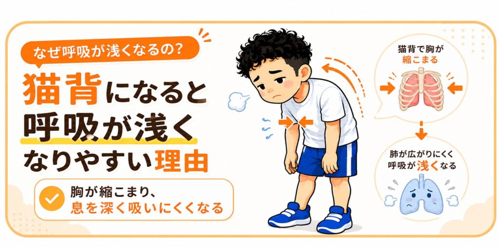 猫背になると胸が縮こまり呼吸が浅くなりやすい理由を解説する中元キャラのバナー画像